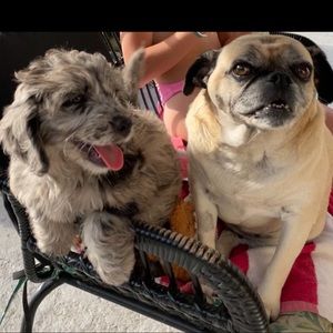 Meet your Posher, Eddie